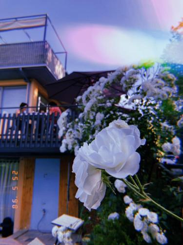 Μπαλκόνι ή βεράντα στο Residence Castiglione