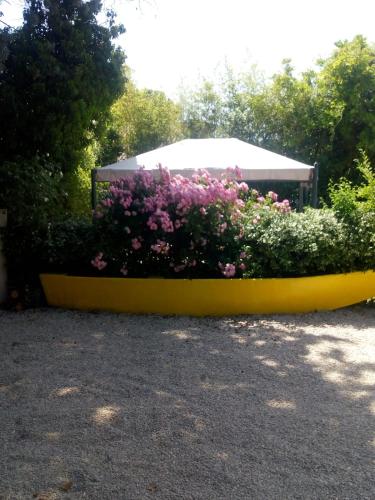 Κήπος έξω από το Residence Castiglione