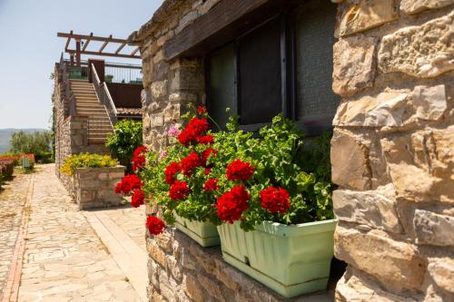 Сад в Basilicata Foresteria di San Leo Villa Esclusiva con Piscina