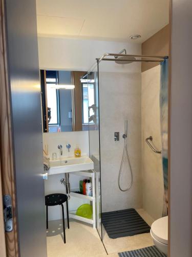 a bathroom with a shower and a sink and a toilet at Fisherman Blues in Matosinhos
