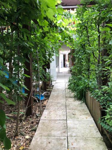 a walkway through a greenhouse with trees at Apartmány na náměstí - Kounice in Kounice