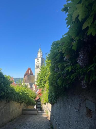 a building with a clock tower in the distance at Traumhafte See- und Alpensicht in Überlingen