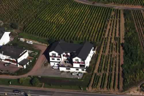 eine Luftansicht eines Hauses auf einem Weinberg in der Unterkunft Ferienwohnung Moselpension Gwosch in Bruttig-Fankel
