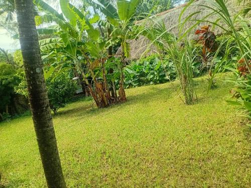 a group of trees and plants in a yard at HIDEOUT Villa in Ukunda