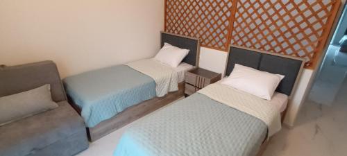 two beds and a couch in a small room at Twins house pool 2 in Nikiti