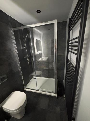 a bathroom with a shower and a toilet and a sink at Boutique 2 bedroom apartment in Mersham