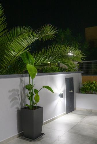 Fotografie z fotogalerie ubytování Kosmas Studios v destinaci Panormos Kalymnos