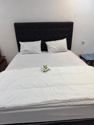 a white bed with a green plant on it at Casa kinari homestay in Giri