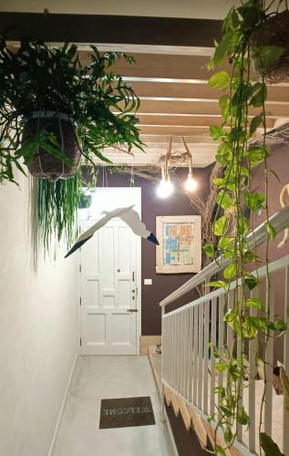 a hallway with a staircase with plants and a door at Terrammare del Golfo in Castellammare del Golfo