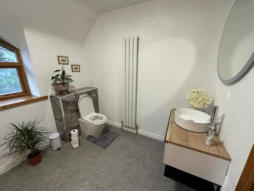Bilik mandi di Ballystockart Cottages