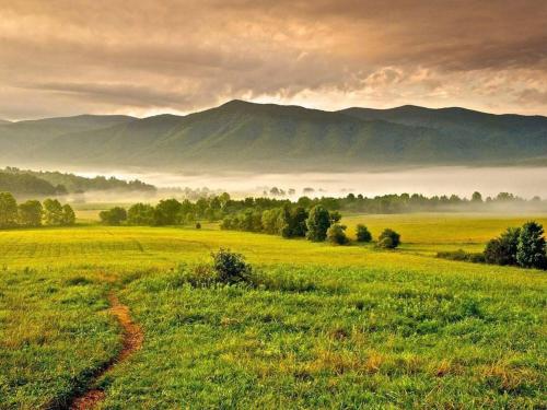 a field of green grass with mountains in the background at Peaceful Smoky Treehouse| Hot Tub • Hammock • Deck in Line Spring