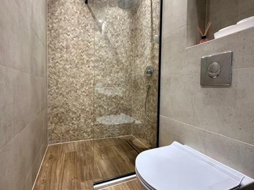 a bathroom with a shower with a toilet at Isidora Seafront Apartments in Igalo