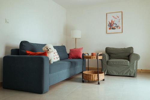 a white dog sitting on a couch in a living room at Płachty in Liniewo