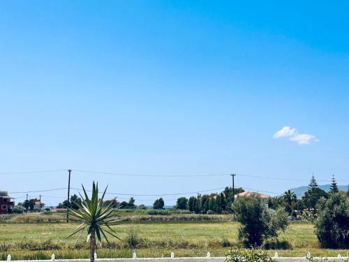 a palm tree in the middle of a field at Mira Premium House - Serenity Escape in Kalamaki by Villa Mana Gers in Kalamaki