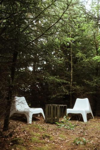 two white chairs sitting in a field near trees at Płachty in Liniewo