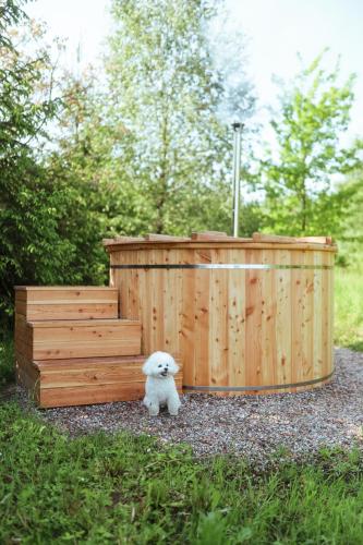a small white dog sitting in front of a wooden box at Płachty in Liniewo