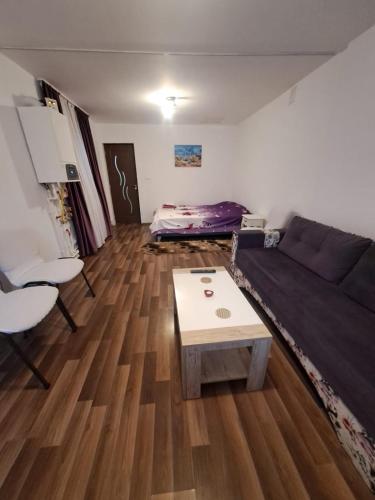 a living room with a couch and a table at Strada Banu Mihalcea Nr. 150 in Constanţa