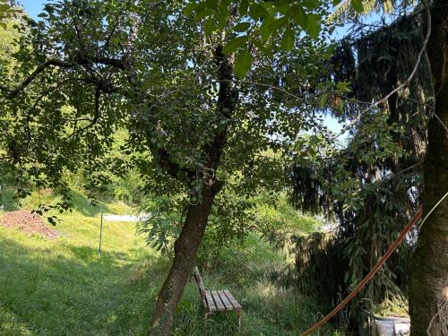 Příroda nedaleko bed and breakfast