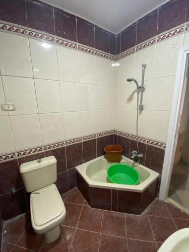 a bathroom with a toilet and a tub with a green sink at Beach front Chalet in Alexandria