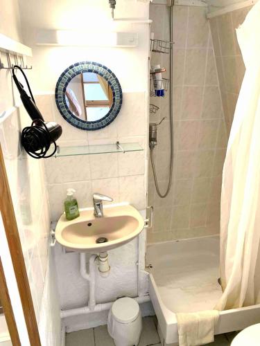 une petite salle de bain avec un lavabo et une douche dans l'établissement Studio Eléphants 1, à Chambéry
