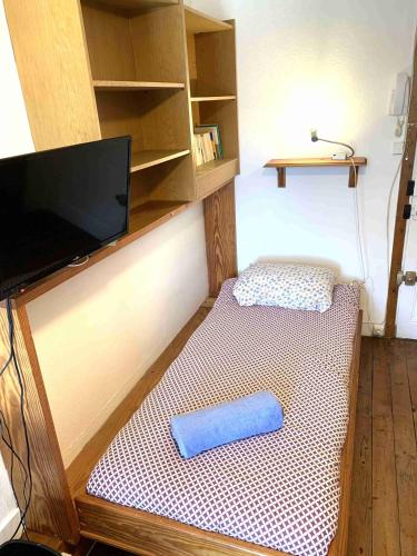 une chambre avec deux lits avec une télévision et des étagères dans l'établissement Studio Eléphants 1, à Chambéry