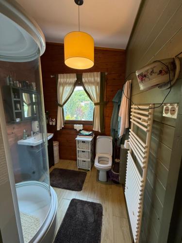 a small bathroom with a toilet and a sink at domeniul la moșie caianu in Căianu