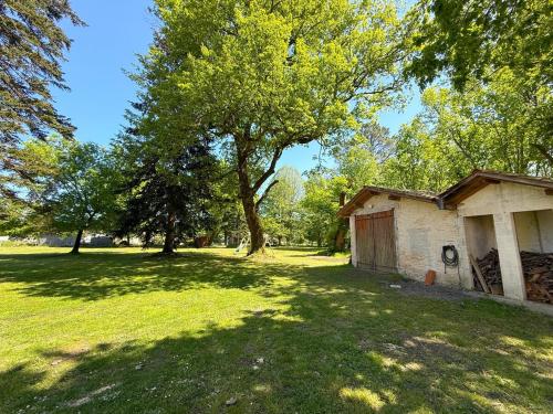 an old building in a field with a tree at Demeure dans la fôret in Belin-Beliet