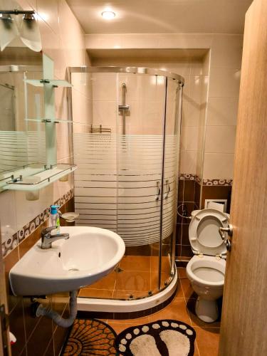 a bathroom with a shower and a sink and a toilet at TihON Studio in Byala
