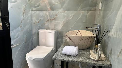 a bathroom with a toilet and a marble wall at Nora's Chalet in Fshati i Ri