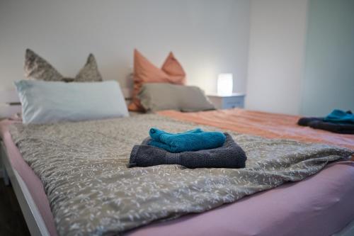 マイニンゲンにあるCharmante Ferienwohnung 2 im Herzen von Meiningenのベッド(上に青い枕付)