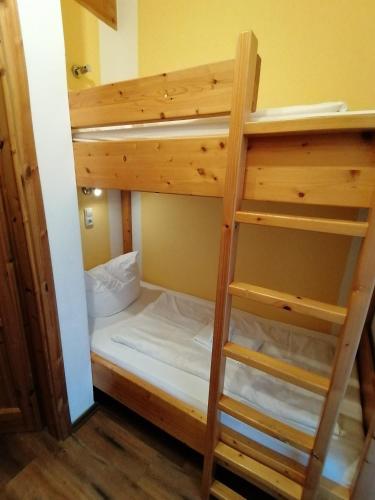 a bunk bed with a ladder in a room at Pension Bomätscher in Königstein an der Elbe