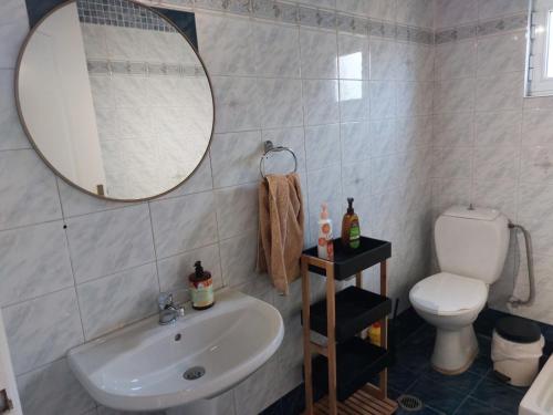 Un baño con lavabo, inodoro y espejo. en Villa Antheon, en Spiliazéza