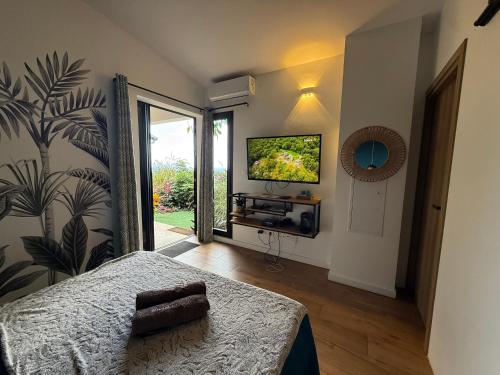 a bedroom with a bed and a television on a wall at Cocoon Love avec piscine privative in Saint-Louis