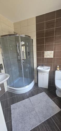 a bathroom with a shower and a toilet and a sink at Hotel Korek in Frýdek-Místek