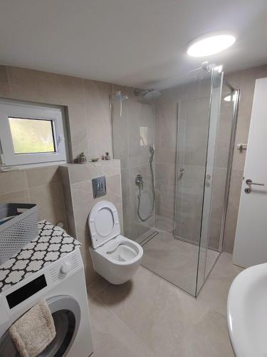 a bathroom with a shower and a toilet and a sink at Villa Romantica in Blato
