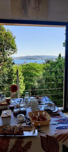 Příroda nedaleko bed and breakfast