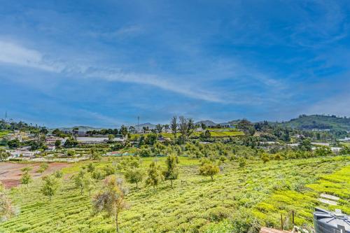 an agricultural field with trees and a town in the background at Garden Haven 3 BHK Villa with Balcony and Verandah Escape in Kotagiri
