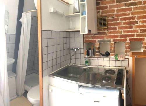 Elle comprend une petite cuisine avec un évier et un mur en briques. dans l'établissement Studio Eléphants 2, à Chambéry