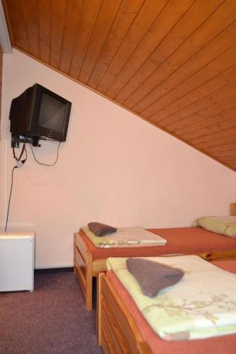 a room with two beds and a tv on the wall at Penzion u Hada in Chomutov