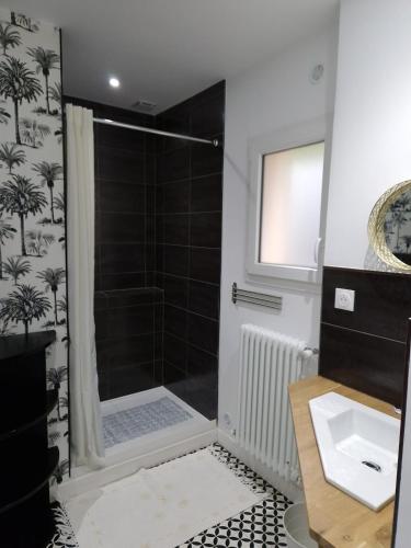 a bathroom with a shower and a sink at La maison des vendangeurs in Libourne