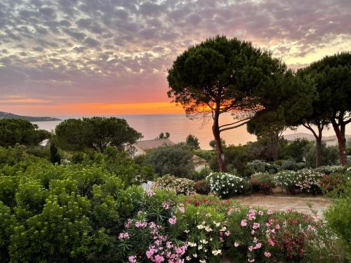 Costa di fiori