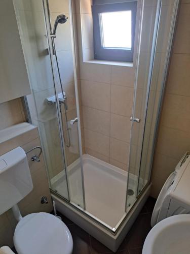 een badkamer met douche en toilet bij Beach apartment in Mandre in Mandre