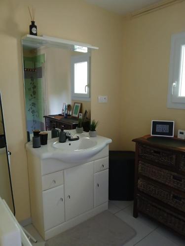 a bathroom with a white sink and a mirror at Gite les genêts in Le Vigeant