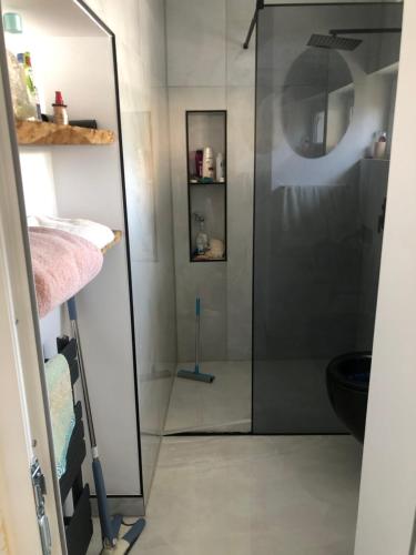 a shower with a glass door in a bathroom at Ulita in Bumbeşti-Jiu