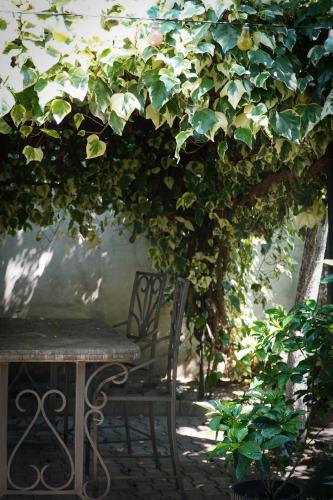 a table and a bench under a large tree at Sofia in Kutaisi