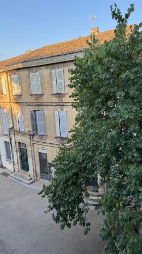Studio des Papes