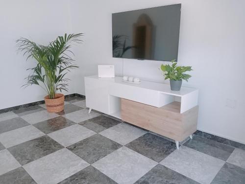 グラン・タラハルにあるThe RITA Home FUERTEVENTURA Gran Tarajalの白い化粧台と2つの植物があるバスルーム