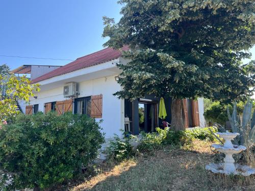 Κήπος έξω από το Daskalis House # Даскаловата Къща