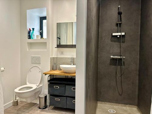 une salle de bain avec une douche avec des toilettes et un lavabo dans l'établissement Dolaizon T3 - 70 m2 - 2 bedrooms, au Puy-en-Velay