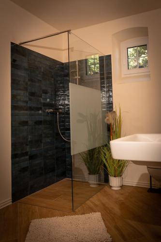 a bathroom with a glass shower and a sink at Ferienwohnung Am Eiskeller in Leuna